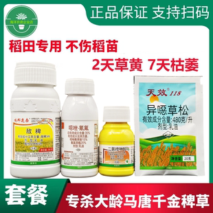 稗草除草剂敌稗恶唑氰氟异噁草松水稻旱稻直播稻苗后专用除草套装