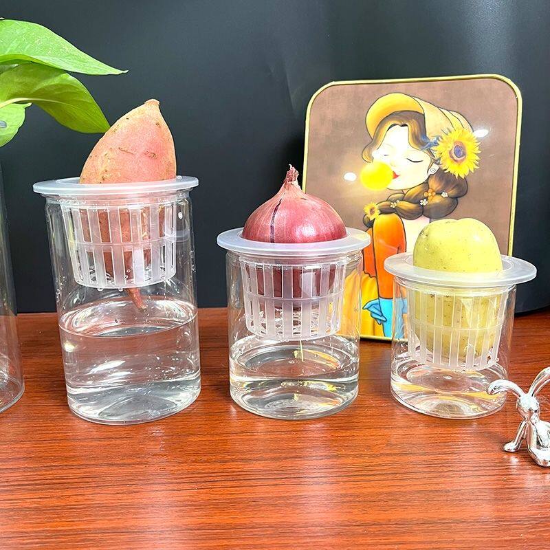 水培植物专用瓶水培植物幼儿园红薯塑料花盆不易碎水养萝卜土豆植