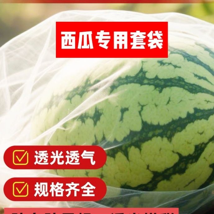 西瓜防虫袋菠萝蜜葡萄鸟