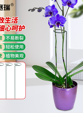 安赛瑞植物爬藤架阳台园艺花架支撑杆盆栽花卉固定仿倒架5J00906