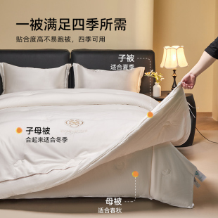 专柜款 多喜爱全棉面料大豆蛋白子母被A类保暖被芯被子春秋被冬被
