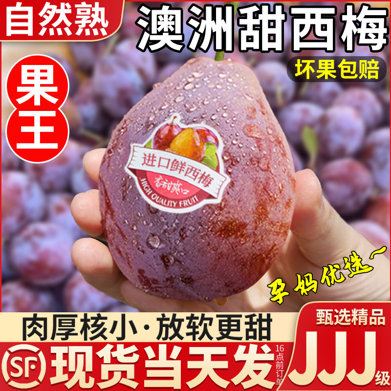 现货大果 澳洲进口西梅鲜果当季新鲜水果西梅礼盒孕妇李子法兰西