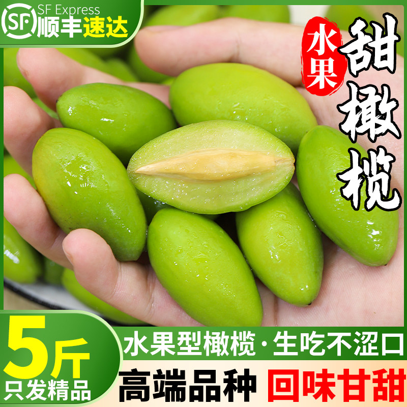 顺丰速达 纯甜橄榄5斤新鲜一级青橄榄果煲汤生吃甘甜水果整箱包邮