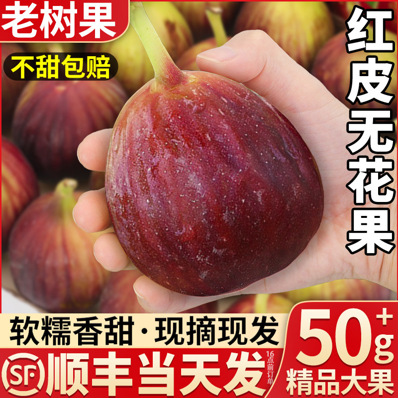 顺丰大果 红皮无花果新鲜水果5斤现摘当季特级鲜果整箱包邮