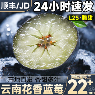 顺丰 云南蓝莓12盒新鲜水果花香特大莓果当季怡颗鲜果整箱包邮