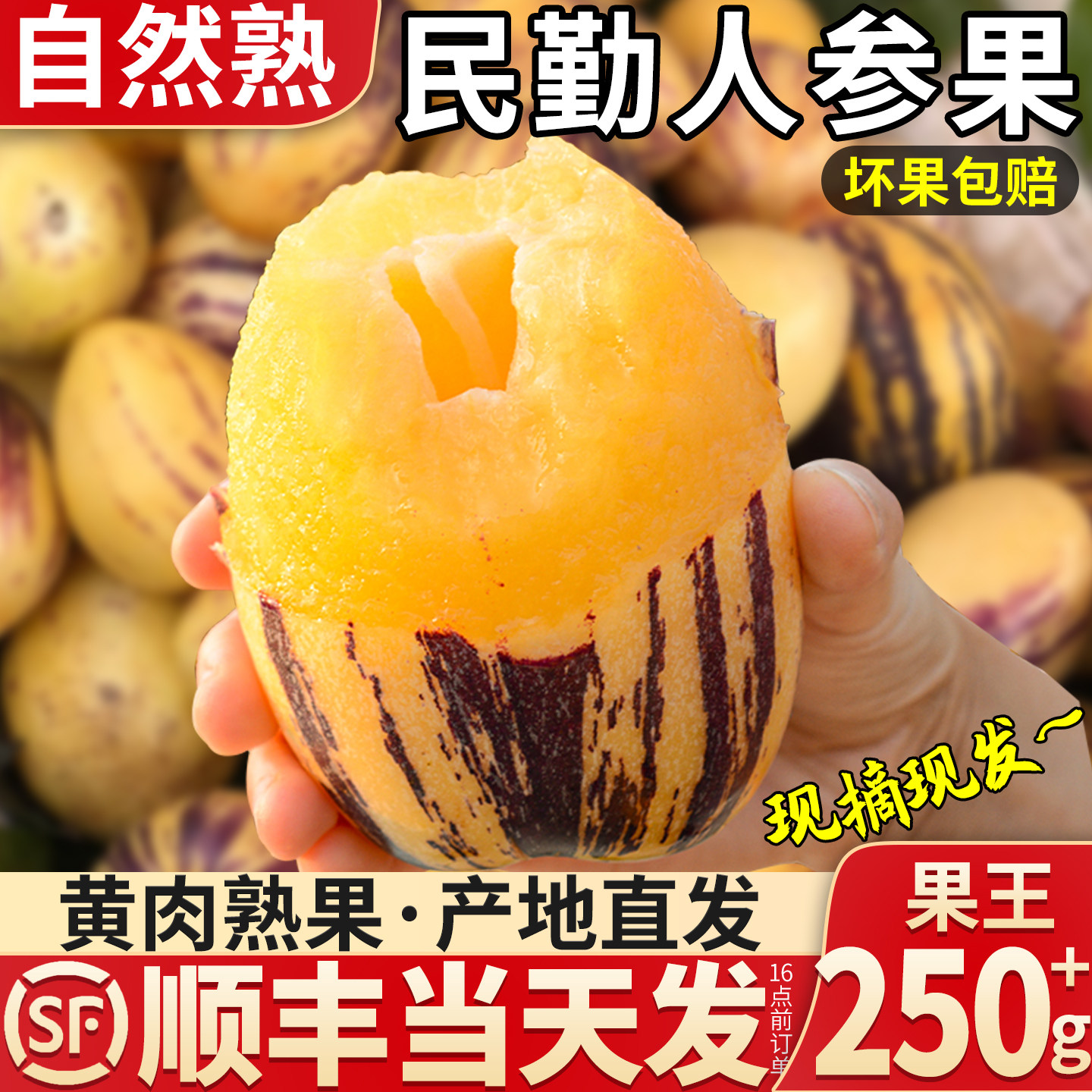 顺丰 甘肃民勤人参5斤黄肉大果新鲜水果人叁果人生长圆果包邮