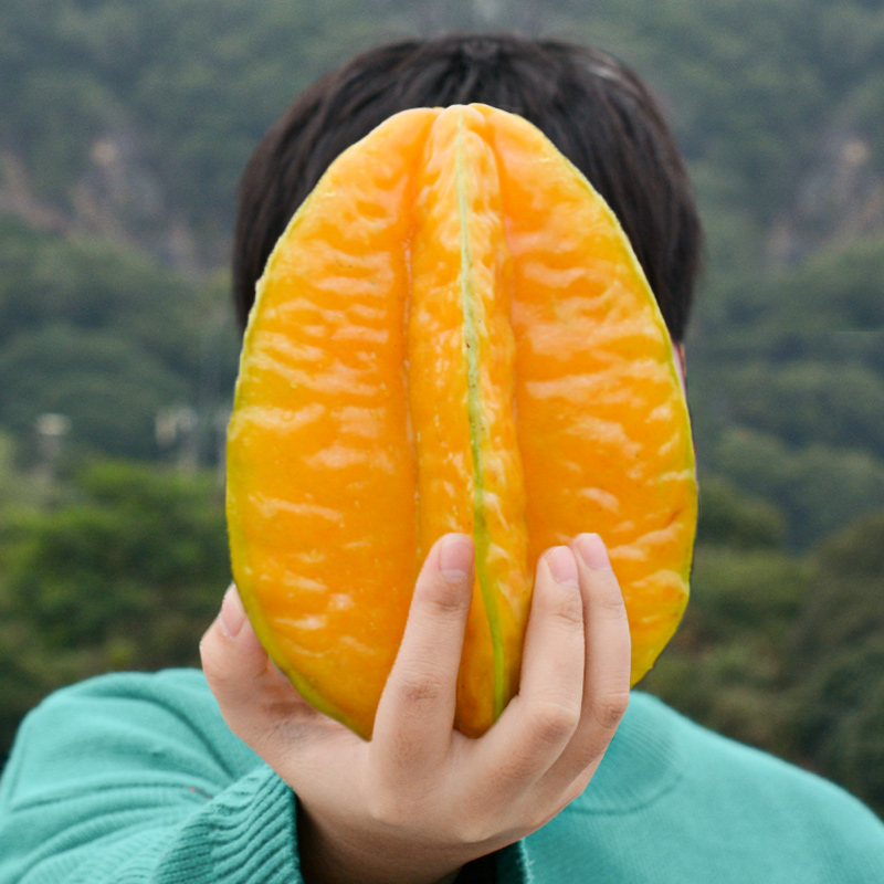 漳州下河杨桃6斤热带水果新鲜孕妇当季整箱包邮五角星甜扬桃洋桃5