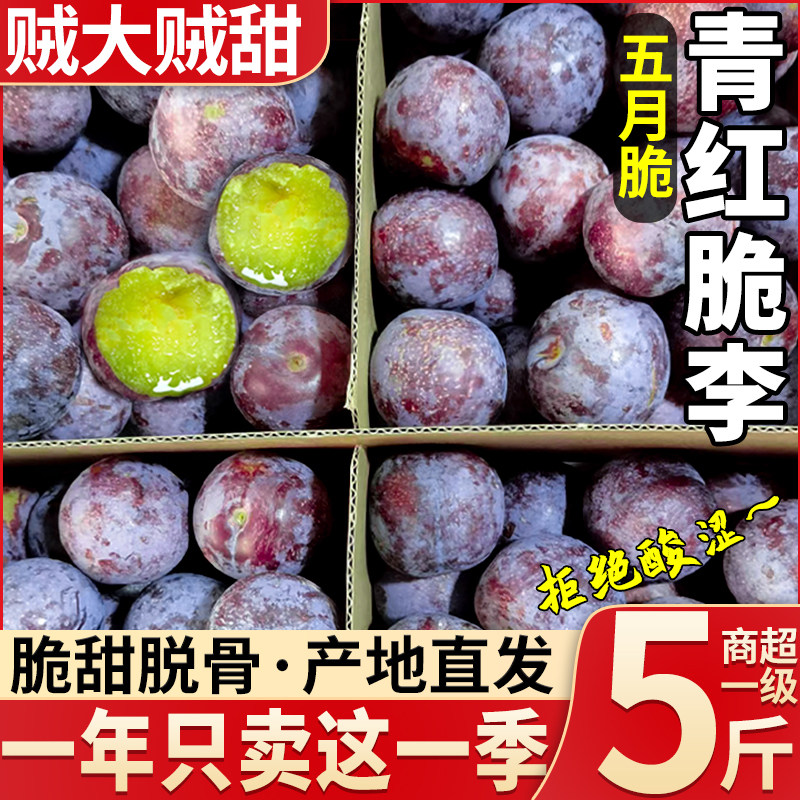 四川五月脆李子脆甜多汁