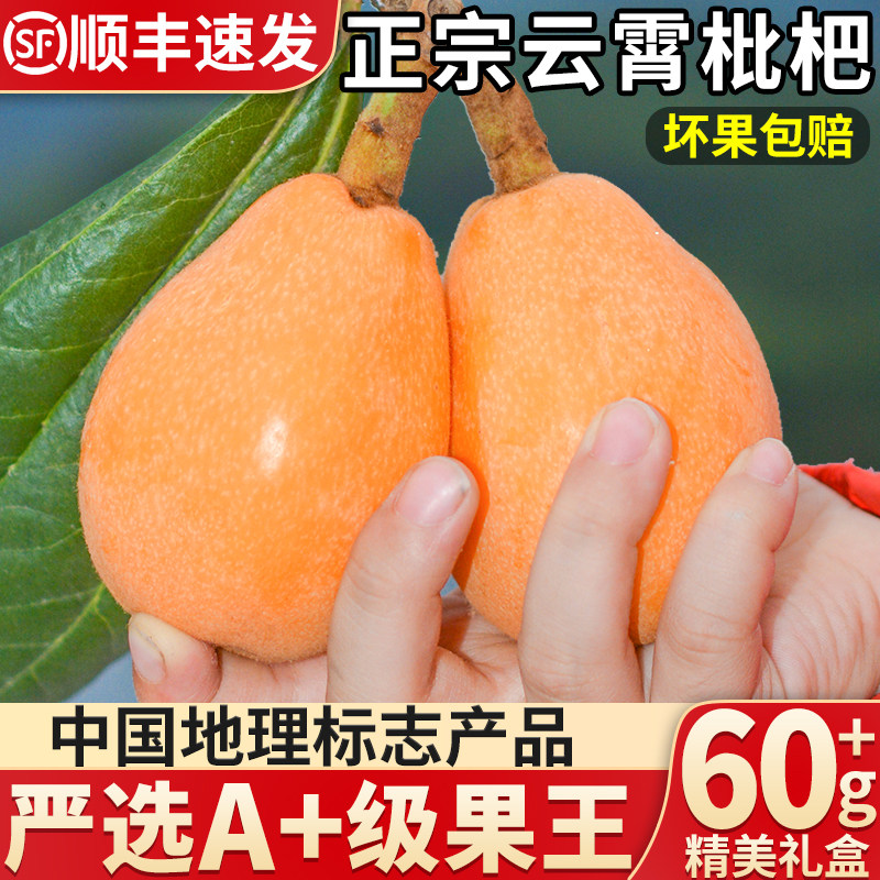 顺丰现货 福建云霄枇杷新鲜10斤当季批把水果现摘甜琵琶整箱包邮