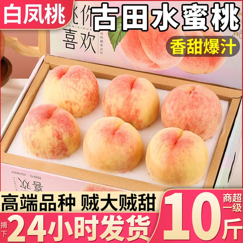 顺丰古田白凤蜜水蜜桃现摘速发