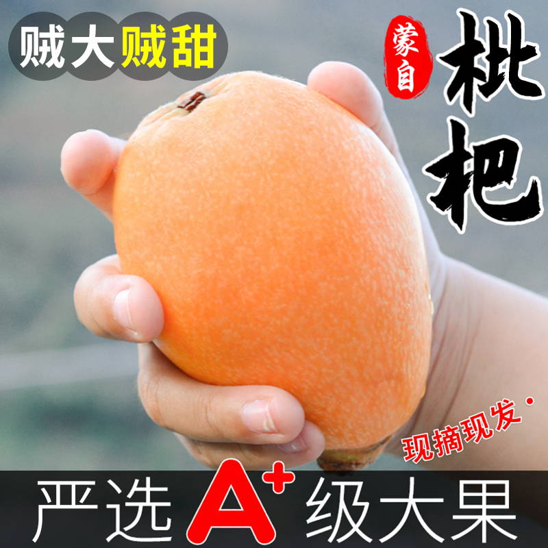 顺丰5斤正宗蒙自枇杷新鲜水果当季整箱礼盒鲜果琵琶大果批把包邮
