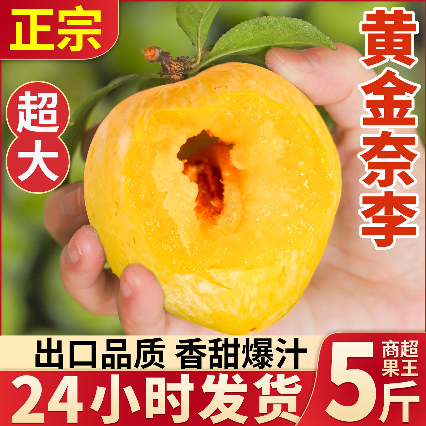一年只卖这一季黄金奈李甜脆李