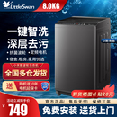 小天鹅8公斤波轮洗衣机全自动家用小型出租房洗脱一体10KG大容量
