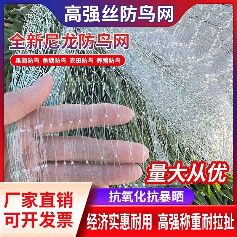 防小鸟的网大棚果树果园