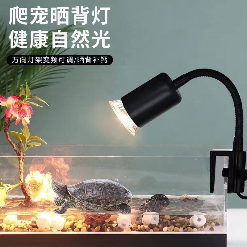 鱼缸加热灯乌龟晒背灯玻璃缸边夹陶瓷加热灯泡保温加温取暖专业级