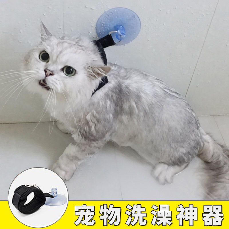 猫咪洗澡固定器宠物洗澡神器固定器绳子猫狗清洁美容专用吸盘绑带