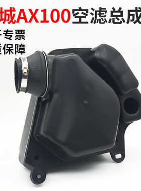 摩托车滤清器滤芯 适用于长春金城铃木AX100 总成 空气过滤器配件