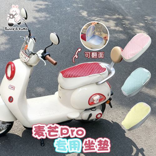 电动车翻翻垫防水防晒