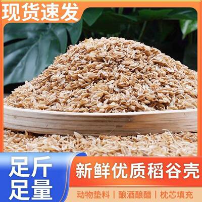 新鲜现磨稻谷壳芦丁鸡垫料枕芯填充酿酒辅料养花种植专用纯干稻壳
