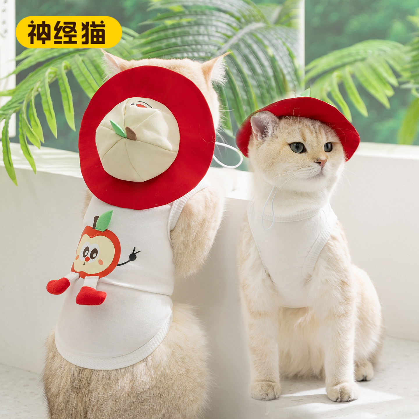 神经猫猫咪衣服防掉毛公主风服饰图片
