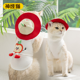 猫衣服2026新款宠物猫咪衣服防掉毛薄款布偶缅因德文猫衣服公主风