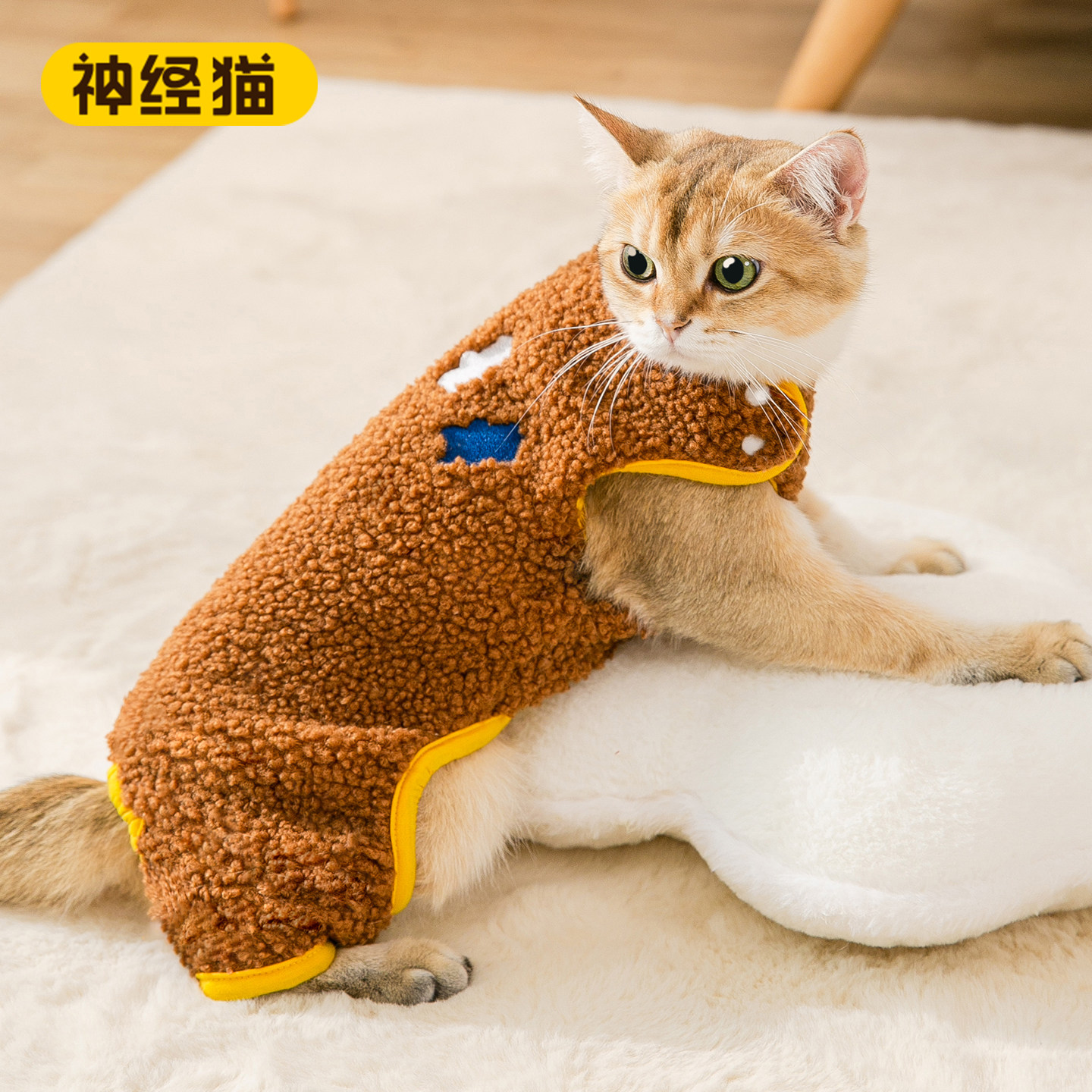 小猫咪衣服防掉毛秋冬布偶猫德文猫金渐层背带四脚衣宠物猫衣服,宠物/宠物食品及用品,猫宠物服装/雨衣（新）,淘宝优惠券,粉丝福利购,淘宝优惠卷
