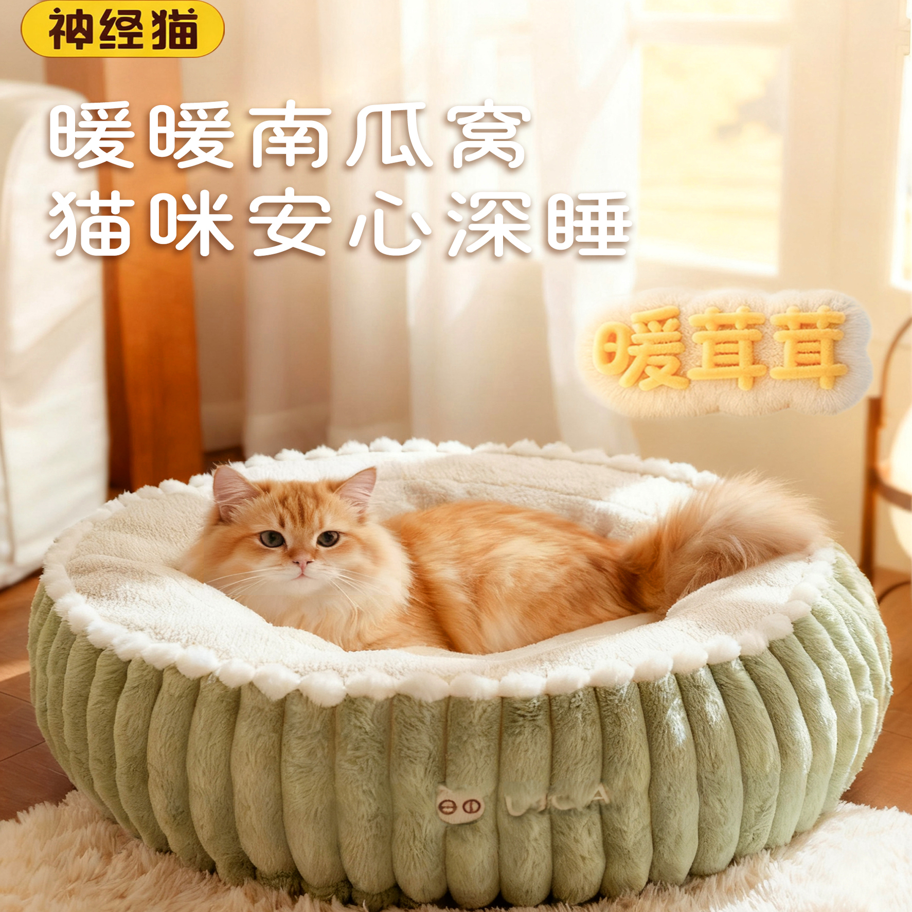 神经猫宠物深度睡眠圆窝