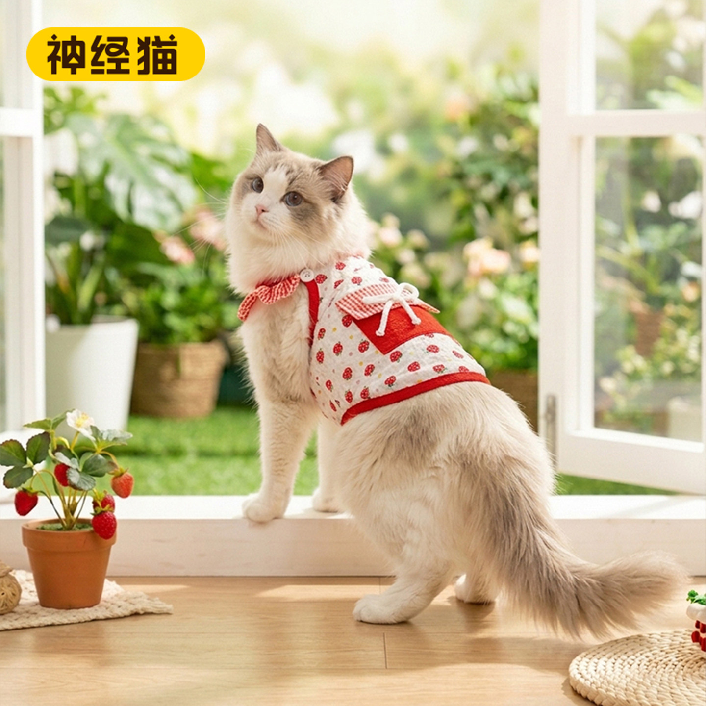 猫咪满印小草莓吊带帽子两件套图片