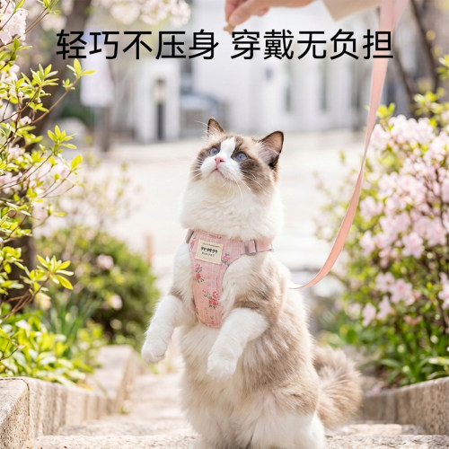神经猫高颜值猫咪胸背引绳防挣脱