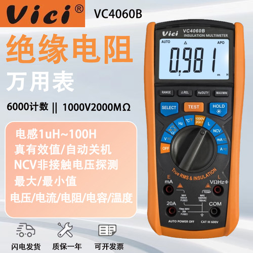 维希特VC4060B绝缘万用表