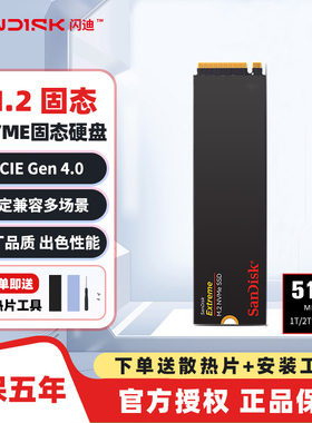 闪迪1TB M.2 500G SSD固态硬盘2T TLC台式机笔记本电脑 Extreme