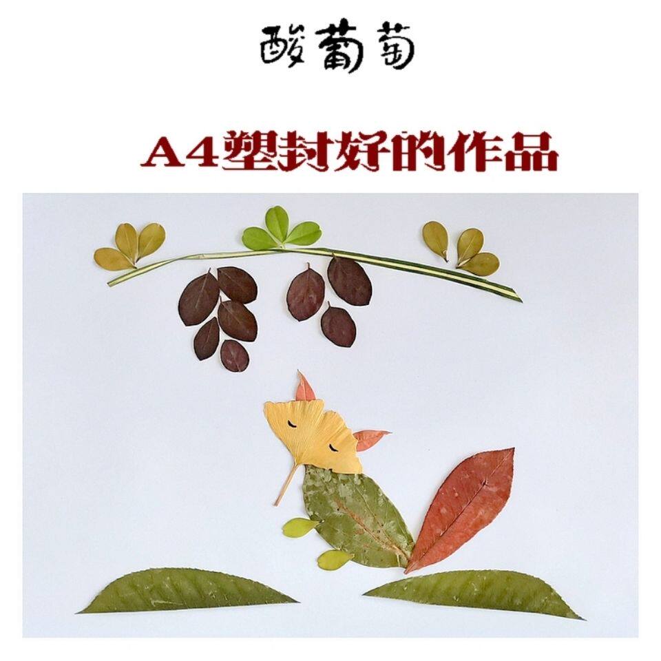 原创真树叶画幼儿园学生手工diy材料酸葡萄龟兔赛跑春游秋天大雁