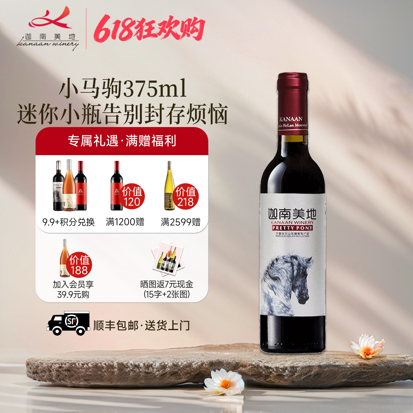 迦南美地小马驹赤霞珠美乐干红葡萄酒375ml宁夏红酒2018年