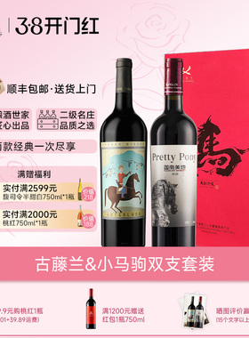 迦南美地古藤兰 小野马干红葡萄酒礼盒套装2支宁夏红酒750ml