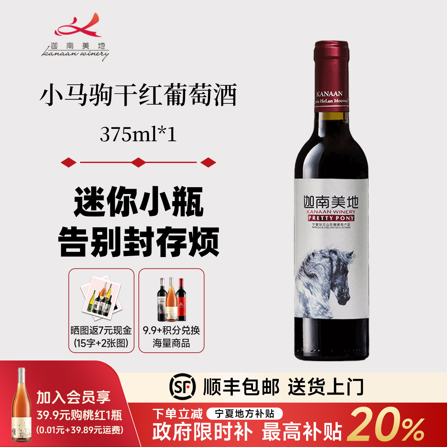 迦南美地小马驹赤霞珠美乐干红葡萄酒宁夏红酒 375ml 自饮小酒