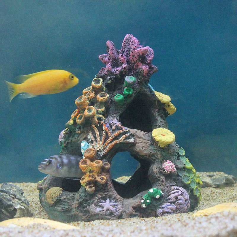 精致小鱼缸造景仿真空心