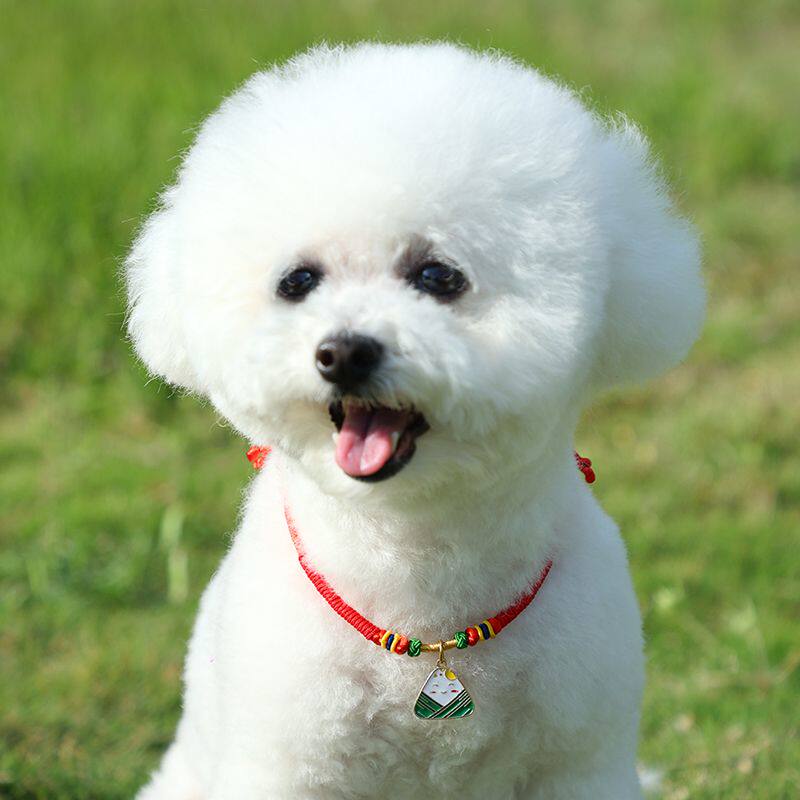 狗狗五彩绳端午节宠物项