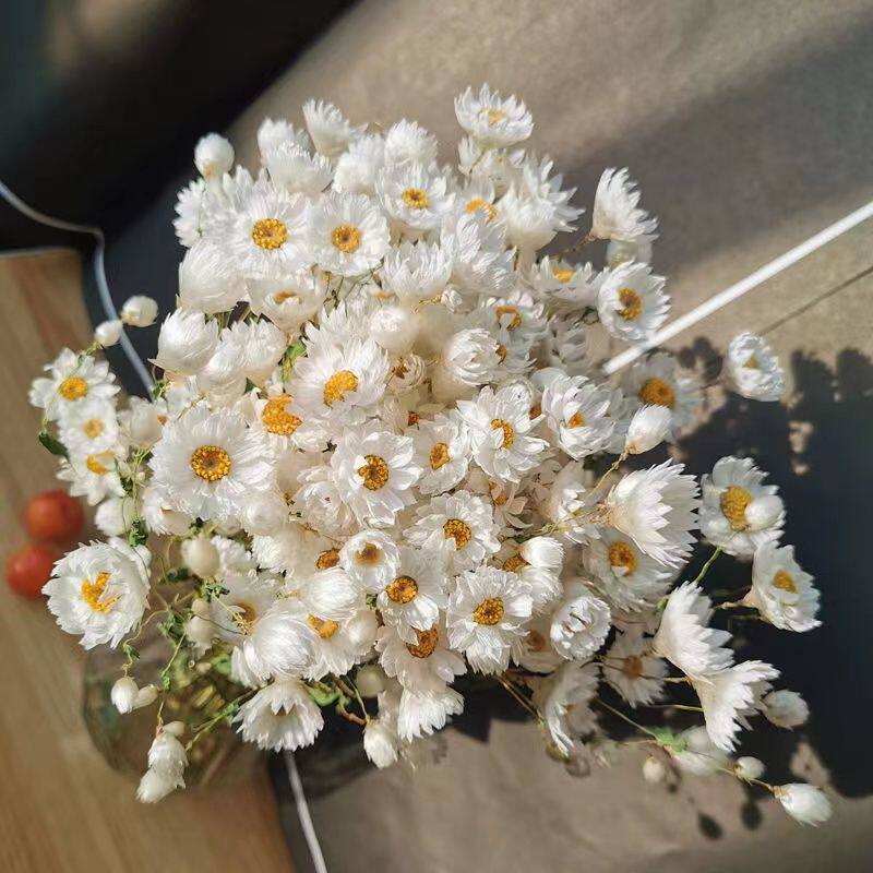 适合客厅放的干花束真花