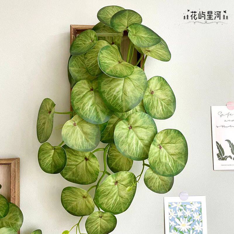 框壁挂绿植仿真手感墙上