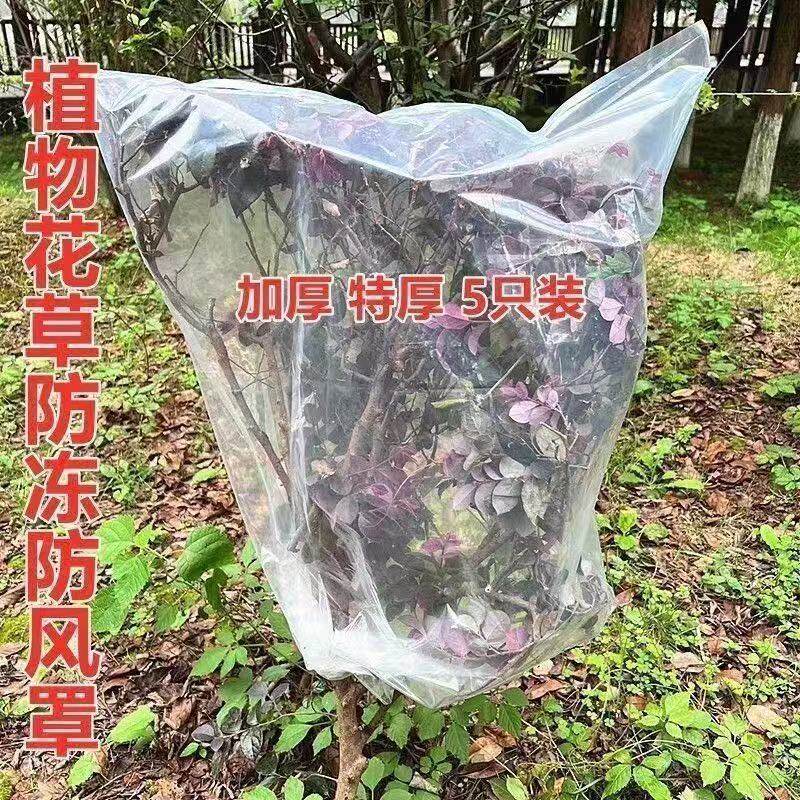 植物防寒罩室外保温罩树