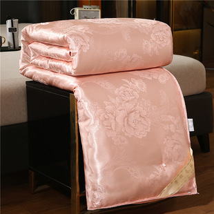 蚕丝被空调被夏凉被礼品被子棉被被芯礼盒装春秋加厚冬被柞蚕丝