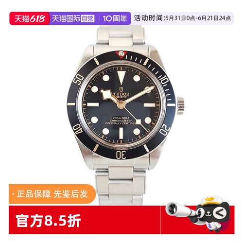帝舵碧湾系列自动机械手表男款