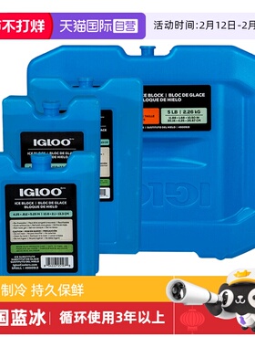 【自营】IGLOO蓝冰冰盒母乳储奶专用冰袋制冷冰砖冷藏保温箱运输