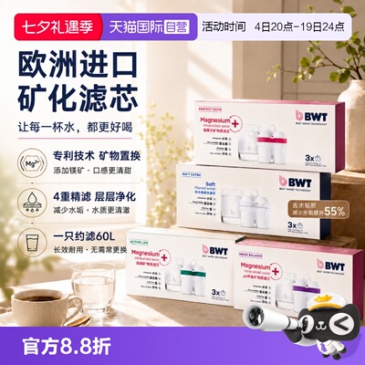专利置换添加镁离子净水滤芯BWT