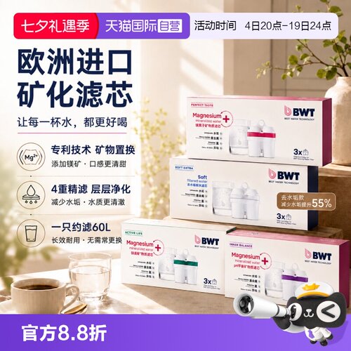 专利置换添加镁离子净水滤芯BWT