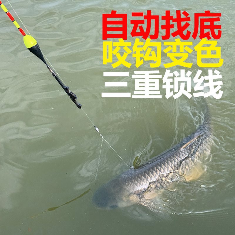 自动找底鱼漂免调漂高灵敏浮漂远投日夜两用电子夜光漂咬钩变色