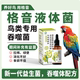 格音液体菌鹦鹉鸽子拉稀绿便期间专用益生菌吞噬体