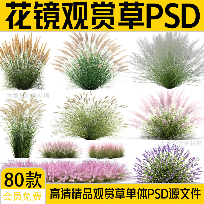 ps景观效果图高清粉色观赏草野草芦苇细叶芒粉黛草丛花境psd素材