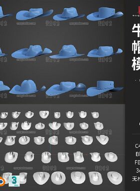 40个blender各式牛仔帽子遮阳帽3D立体c4d模型ob