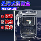 孔雀鱼繁殖隔离盒产卵桶母鱼孵化网产房小鱼幼鱼隔离透明产子产箱